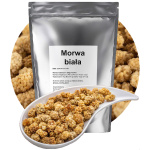 Morwa biała